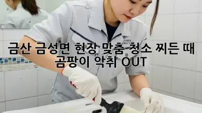 금산 금성면 현장 맞춤 청소: 찌든 때, 곰팡이, 악취 OUT! ✨