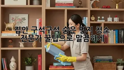 집안 구석구석 숨은 먼지, 청소 전문가 꿀팁으로 말끔하게!